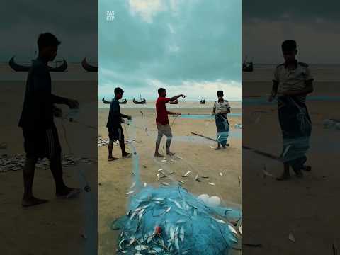 বঙ্গোপসাগরের জেলেদের মাছ ধরার জীবন 😯  #Fishing #bayofbengal #bangladesh #coxsbazar