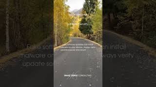 Avoiding Fake Software Updates
