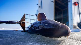 Spearing A STURGEON | Wisconsin's Oldest Tradition