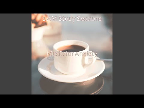 Music for 2 AM Study Sessions - Chill Hop Lo Fi