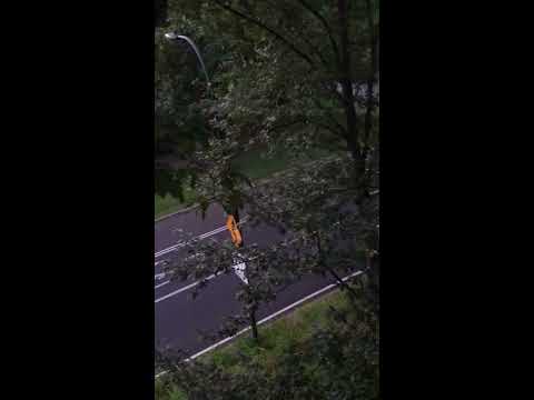 hammock camping in central park