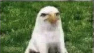 Among us dance 🗿🗿