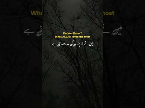 #viralvideo #viralshorts / nojwan ki touba/ peer Ajmal raza qadri best lines