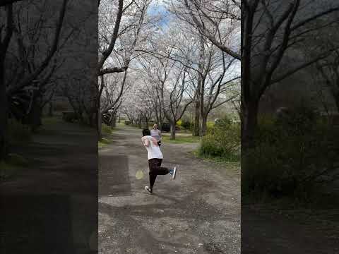【お花見キャンプ】イレブンオートキャンプパーク