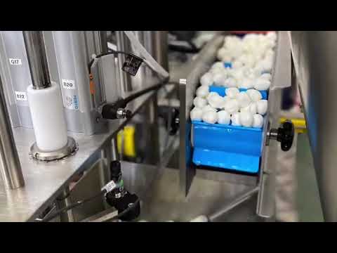 Pneumatic-Driven 2-Up Filling Machine for Mozzarella Balls with Liquid, Film Seal, and Overcap