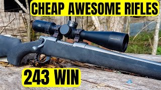 Howa 1500 in .243 Winchester