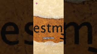 Day 5 Vulture Capitalism: A Quick Dive #trading #financialmarket #tradingtech #tradingtechnology