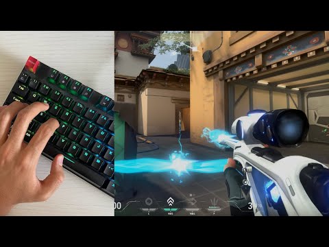 Beginner's Guide to Mechanical Keyboards!