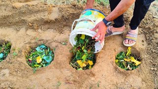 This NEXT LEVEL Planting Method Exploded My Plants With Growth! (No Fertilizer Needed)