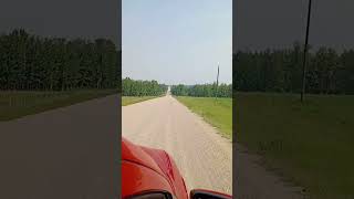 #reels #travelmusic #viralshort #songs #shorts #trending #videos