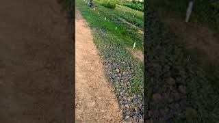 Big Nursery visit🌎🏞️🏜️//#garden //#visit // Love the nature!!! #statushacker #status #visitor