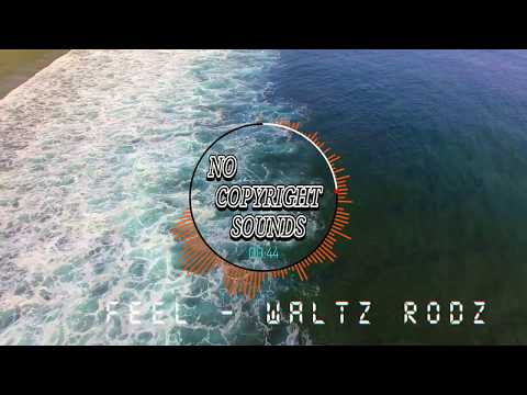 No Copyright Sounds | FEEL -waltz rodz #NoCopyrightSongs #Royaltyfreesongs