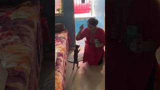 Yenna daily routine😇😊#tuluvlog#tulunadu #tuluvlogger
