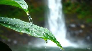⭐💤Calming Background Music to Relax, Focus & Heal the Mind | Mindful Harmonies