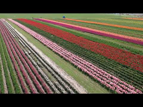 DJI 0006