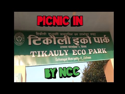 Picnic by New Capital College #ncc #NCC #picnic ..   Vlog#1