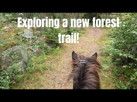 Exploring a new trail (and finding something cool) 🐴🌲 | GoPro Hero 10 | Icelandic Horse Adventures