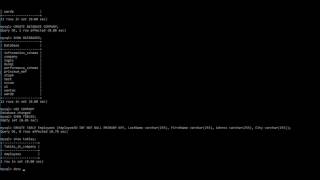 LECTURE 13:  INTRODUCTION TO DATABASES  -  SQL DDL COMMANDS