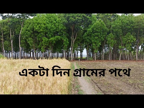 Village tour | গ্রাম বাংলা | West Bengal village