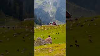 just go #travel #beautifulworld #nature #views #mountains #worldexplorer #beautiful