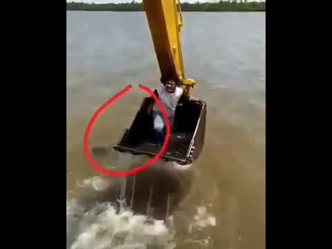 Penampakan di danau