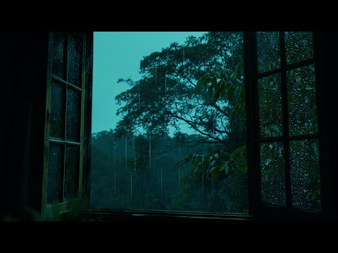 Heavy Rain Storm & Thunder on Window | Deep Sleep Ambience to Calm the Mind & Anxiety Relief