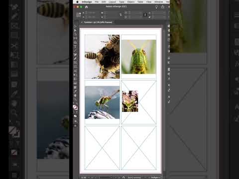 How to Create Grids with Images in Adobe InDesign in 60 Seconds! #adobeindesign #freetutorial #adobe
