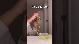#makemefamous #makeuptutorial #preppy #hairstyle #viral #foryoupageviral  #lipsync #meme #foryou