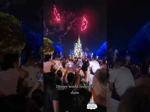 Disney firework show :) #disney #disneyworld #night #show #shorts #tiktok
