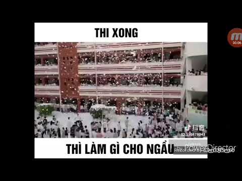 Thi xong thì làm gì cho ngầu nào ?