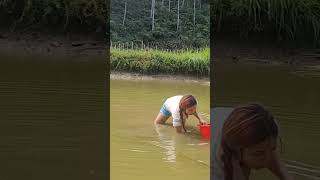 The girl went to catch fruit to sell #girlbuildingbushcraftlife #farming #cooking