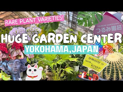 LIVING IN JAPAN 079 | Huge Garden Center/ Plant Shop in Yokohama | Feels like a Botanical Garden!
