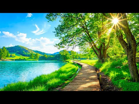 Beautiful Relaxing Music - Stop Overthinking, Stress Relief Music, Sleep Music, Calming Music #2