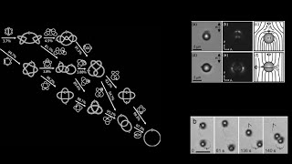 Monads That Know Their Own Nature: Answering the Meta-Problem w/ Process Topology & Observer Theory
