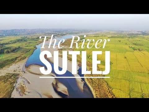 Sutlej River - Punjab, India