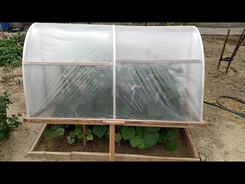 How to Build a GREENHOUSE and easy, DIY Garden Bed