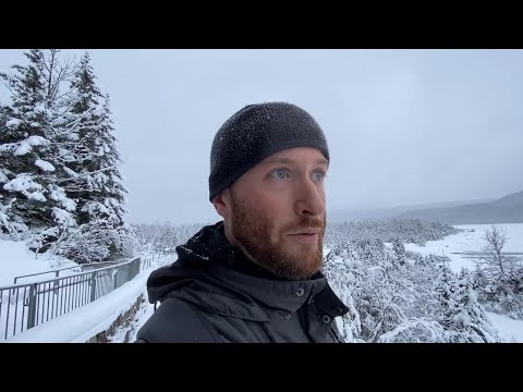 Juneau Day 2 - Mendenhall Glacier