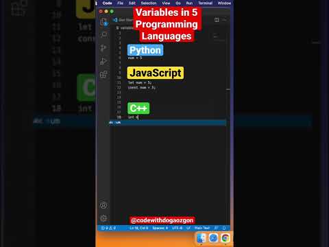 Variables in 5 Programming Languages #programming #shorts #coding