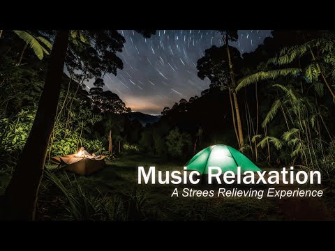 🔴 Silence Your Mind: Melodies for a Meltdown-Free Night #24