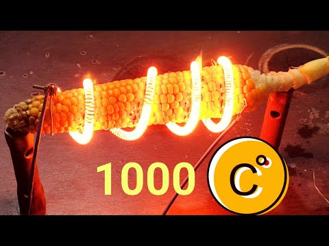 Corn food on Heating element//बिजली से भुट्टा पकाया#experiment#science