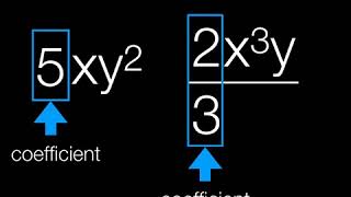 What is coefficient?