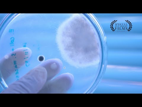 PharmaMar: World Leader in Marine Medicinal Discovery, Development, and Innovation