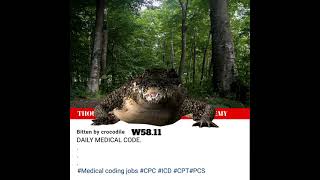 Best medical coding classes in Asia... Learn with Thought Flows. #medicalcoding#fresherjobs