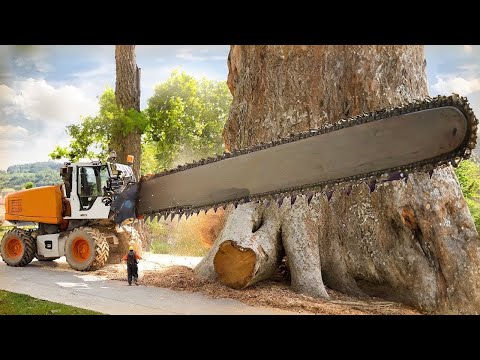 Extreme Dangerous Biggest Chainsaw Felling Tree Skill Working, Incredibly Modern Woodworking Factory