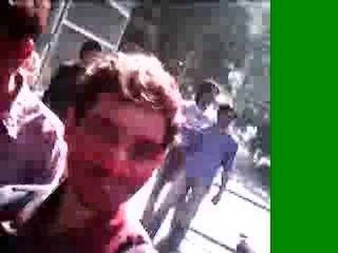 Pusa Polytechnic Holi