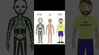 HTML CSS & JS 😍#htmlcss #csstutorial #jstutorial #javascript #codinghacks #codingtips #trending