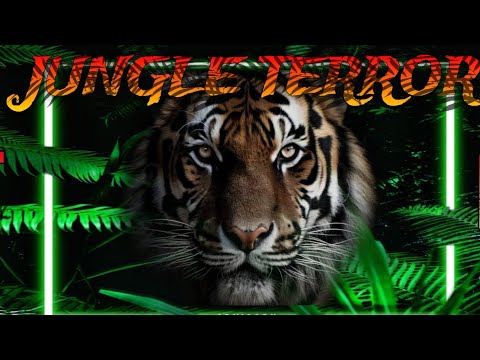Newhard - JUNGLE TERROR (Video Official).