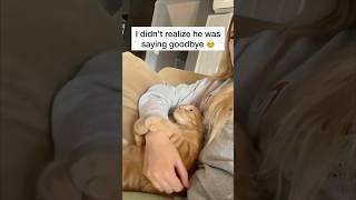 Special holiday discount code 🎁HOLIDAY10 for 10% off, makes a very special gift #christmasgiftidea