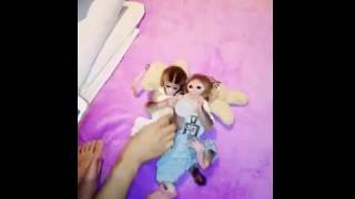 Monkey 🐵videos