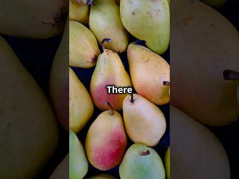 The Ultimate Refreshing Snack! #PearFacts #HealthyEating #TropicalFruits #FiberRich #VitaminC